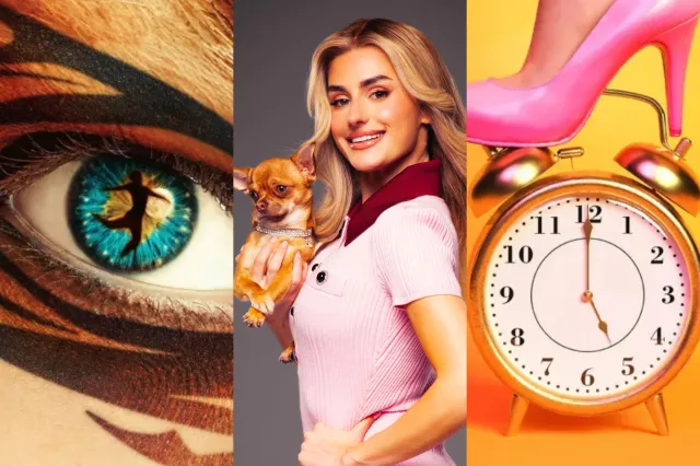 Cats artwork, Amber Davies as Elle Woods, 9 to 5 artwork