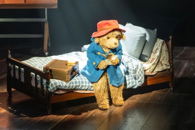 paddington paddington