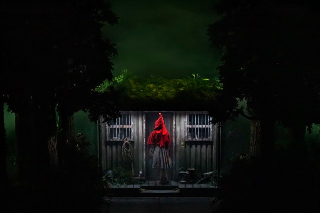 Gracie McGonigal ITW2025JP–03648 Edit 2