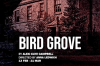 Bird Grove