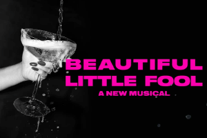 Beautiful Little Fool