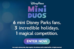 Disney Parks Mini Duos