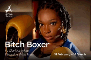 Bitch Boxer
