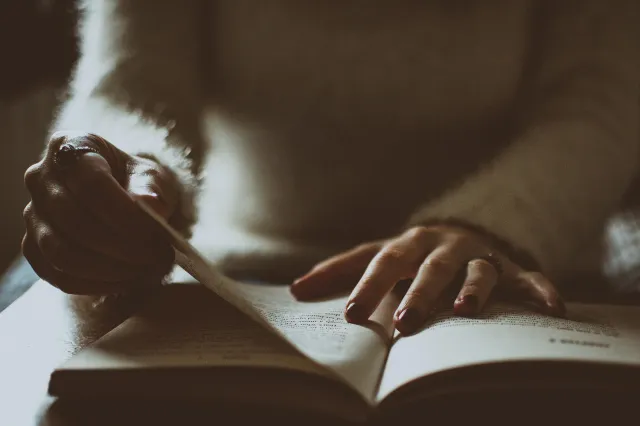 papatango2 papatango2