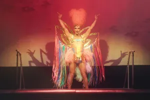 Priscilla Queen of the Desert The Musical