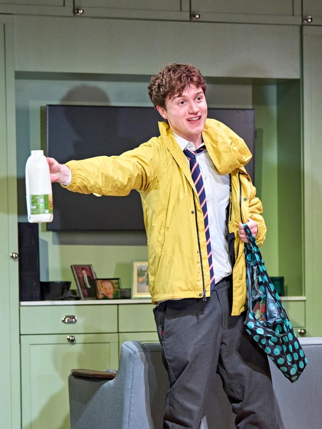 Cormac McAlinden (Harry) in Inter Alia at the Wyndham's Theatre. (c) Manuel Harlan 018