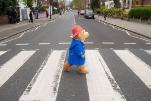 Paddington at Abbey Road, photo supplied by the production