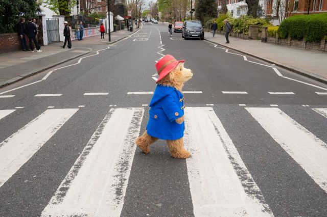 Paddington at Abbey Road, photo supplied by the production Paddington at Abbey Road, photo supplied by the production