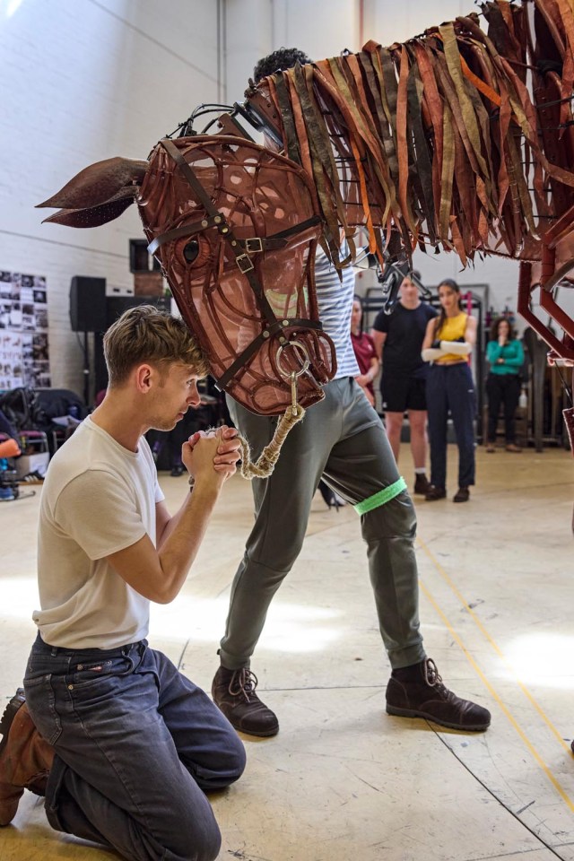 War Horse Rehearsals 2026 at the National Theatre L R Tom Sturgess, 'Joey' 0229.P c Brinkhoff Moegenburg