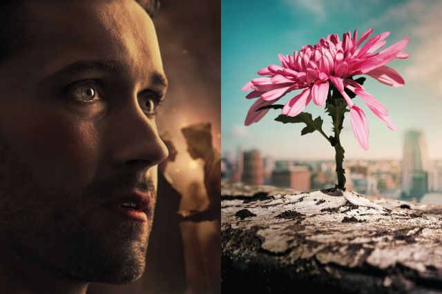 Artwork for Sirens and for The Secret Garden