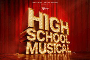 HSM 300x200