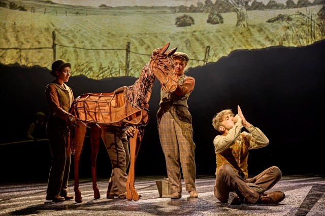Jordan Paris, Eloise Beaumont Wood, Anita Adam Gabay and Tom Sturgess in War Horse 2026 at the National Theatre (c) Brinkhoff Moegenburg 1136 0560