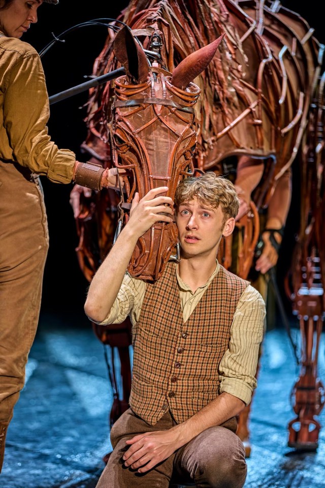 Tom Sturgess in War Horse 2026 at the National Theatre (c) Brinkhoff Moegenburg 1136 1435