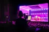 National Theatre report states filmed theatre and streaming supports audience discovery