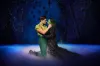 Wicked anniversary cast – first look photos