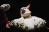 Cabaret in the West End releases footage of Jamie Muscato and Joy Woods