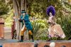 Outdoor theatre to return to Kew this summer