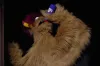 Avenue Q introduces hydration breaks for West End cast