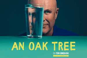 An Oak Tree