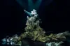 Tao of Glass at @sohoplace in the West End – review