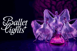 Ballet of Lights: Sleeping Beauty in a Sparkling Show