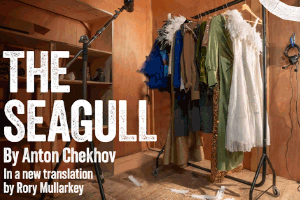 The Seagull