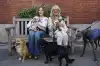 Bernadette Peters and Elaine Paige’s West End Woofs (and Meows) 2026 – in photos