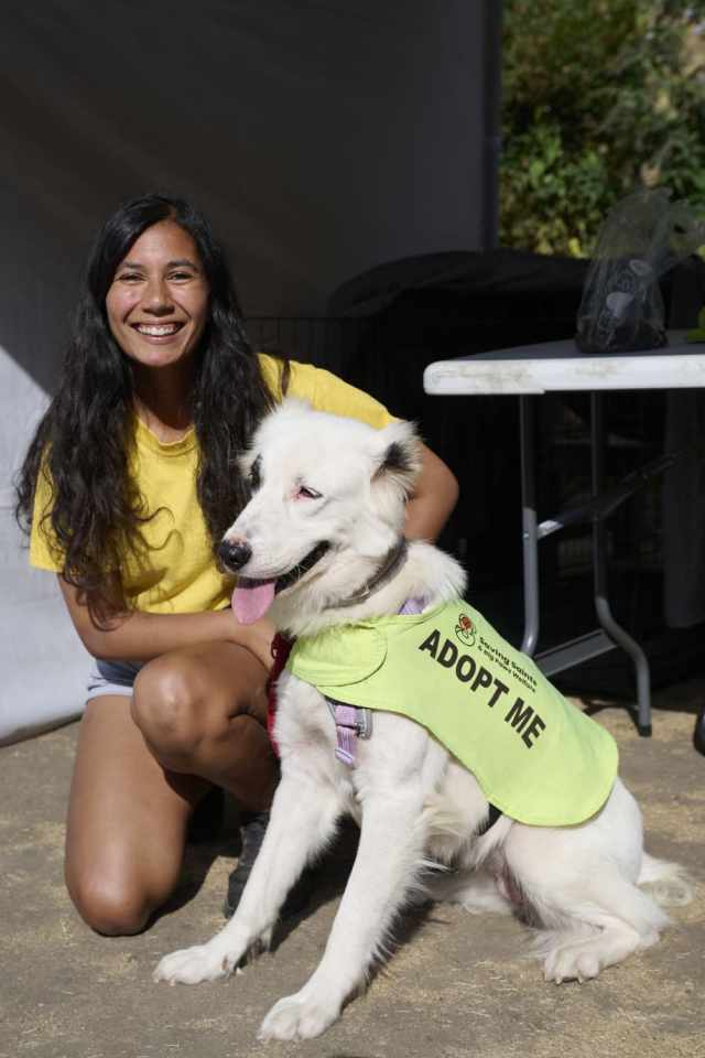 29. WEST END WOOFS 2026. Photo Credit Alan West (1) 29. WEST END WOOFS 2026. Photo Credit Alan West (1)