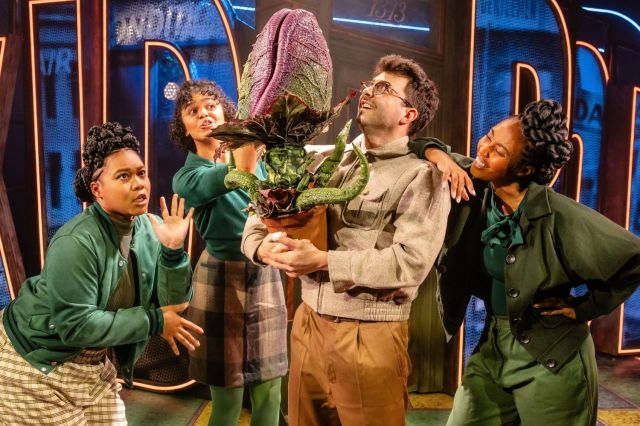 Seymour (Jed Berry) with Crystal (Psalsms Nissi Myers Reid), Chiffon (Rio Maye), Ronetta (Gabrielle Davina Smith) Photo Danny Kaan Seymour (Jed Berry) with Crystal (Psalsms Nissi Myers Reid), Chiffon (Rio Maye), Ronetta (Gabrielle Davina Smith) Photo Danny Kaan