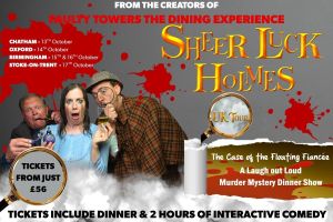 Sheer Luck Holmes