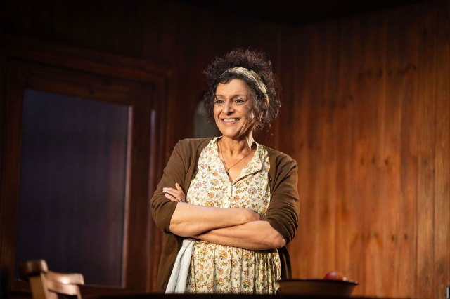 The Children 1 Meera Syal in The Children