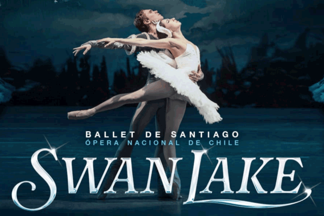 swan lake chile