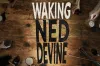 Waking Ned Devine musical, with tunes by Once’s Glen Hansard and Markéta Irglová, to have world premiere in 2027