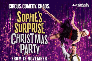 Sophie’s Surprise Christmas Party