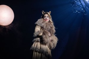 louise dearman cats